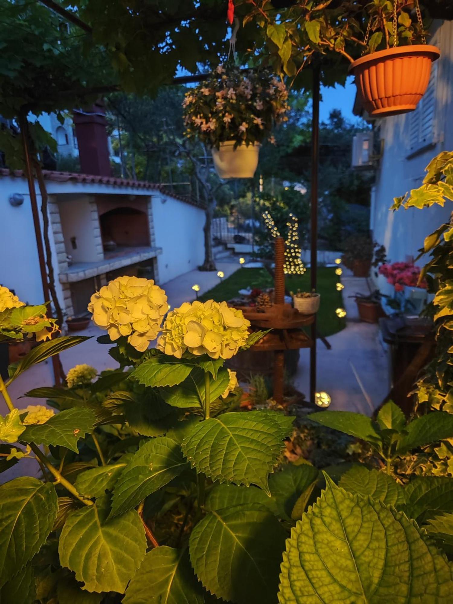 Apartmani Andela Kordic Supetarska Draga Dış mekan fotoğraf